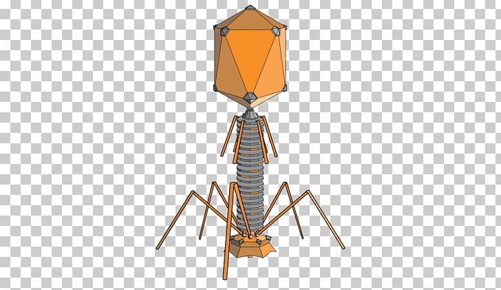 Bacteriophage Virus Bacteria Lambda Phage Phage Therapy PNG, Clipart, Antibiotics, Antimicrobial Resistance, Bacteria, Bacteriophage, Bacteriophage Ms2 Free PNG Download