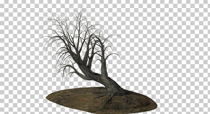 Branch Tree PNG, Clipart, Animaatio, Bonsai, Branch, Clip Art, Download Free PNG Download