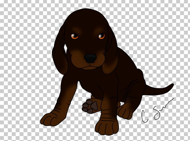 Dog Breed Black And Tan Coonhound Puppy Field Spaniel Boykin Spaniel PNG, Clipart, Animal, Animals, Basset Hound, Black, Black And Tan Coonhound Free PNG Download