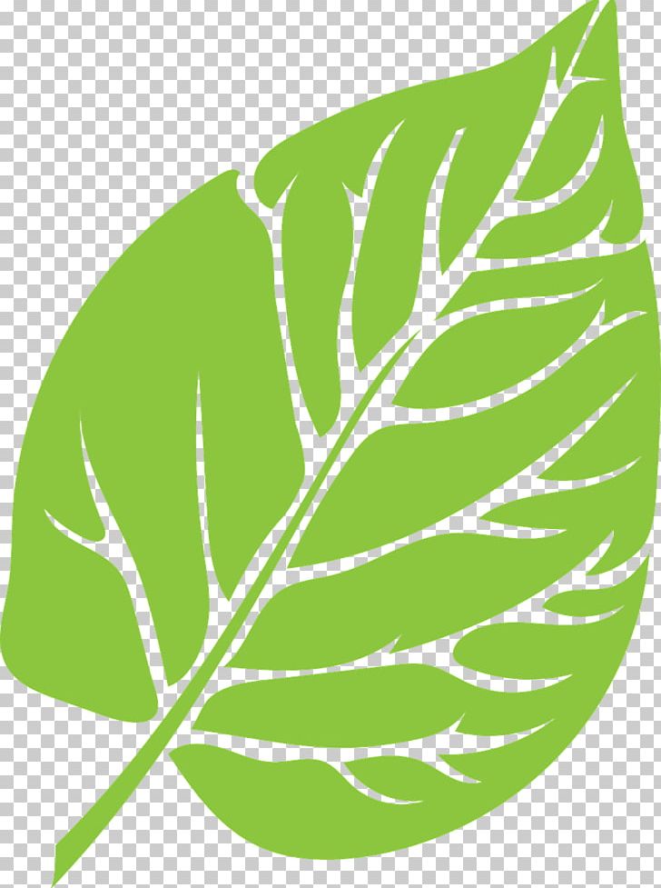 Leaf PNG, Clipart, Art, Download, Flora, Flowering Plant, Food Free PNG Download
