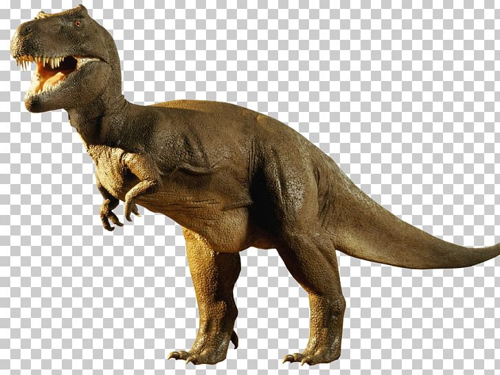 Tyrannosaurus Dinosaur Edmontosaurus Diplodocus Antarctosaurus PNG, Clipart, Animal Figure, Antarctosaurus, Art, Cretaceous, Dinosaur Free PNG Download