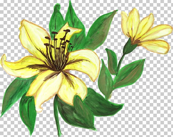Wildflower Plant PNG, Clipart, Com, Download, Flora, Flower, Flowering Plant Free PNG Download