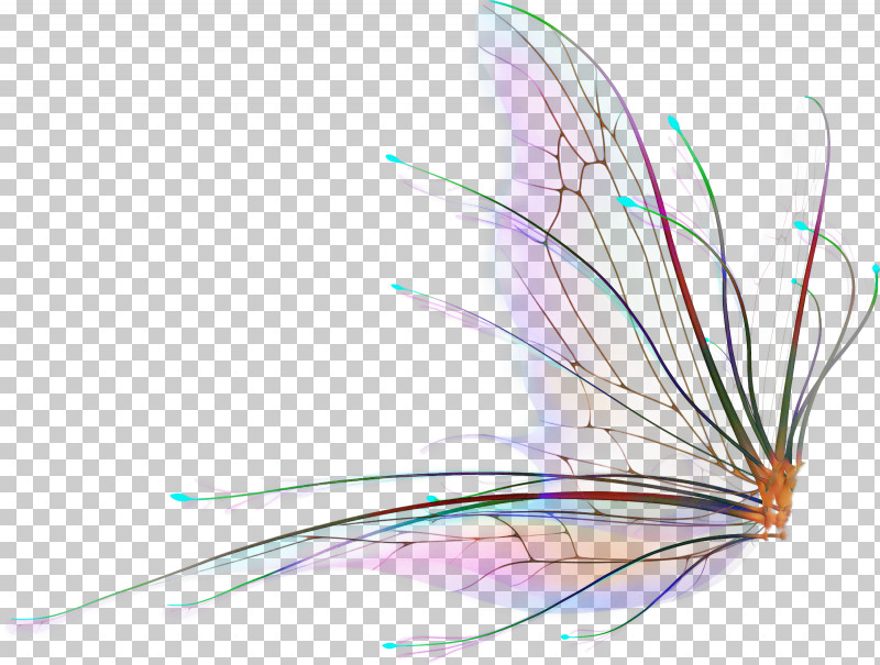 Feather PNG, Clipart, Feather, Plant, Quill, Wing Free PNG Download