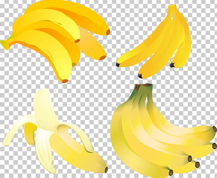 Banana Fruit Computer Icons PNG, Clipart, Banana, Banana Family, Computer Icons, Download, Drawing Free PNG Download