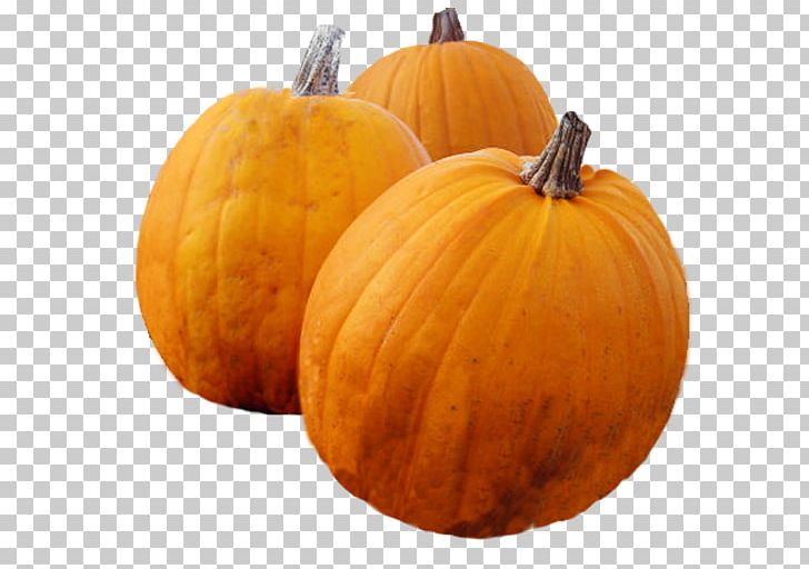 Calabaza Pumpkin Pie Turkey Cucurbita PNG, Clipart, Calabaza, Carving, Commodity, Cucumber Gourd And Melon Family, Cucurbita Free PNG Download