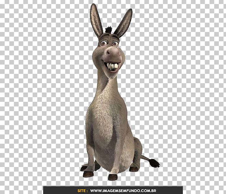 Donkey Shrek The Musical Puss In Boots Princess Fiona PNG, Clipart, Animal Figure, Animation, Domestic Rabbit, Donkey, Donkey Xote Free PNG Download