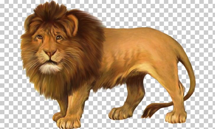 East African Lion Leopard Felidae PNG, Clipart, Animals, Animation, Big Cats, Carnivoran, Cat Like Mammal Free PNG Download