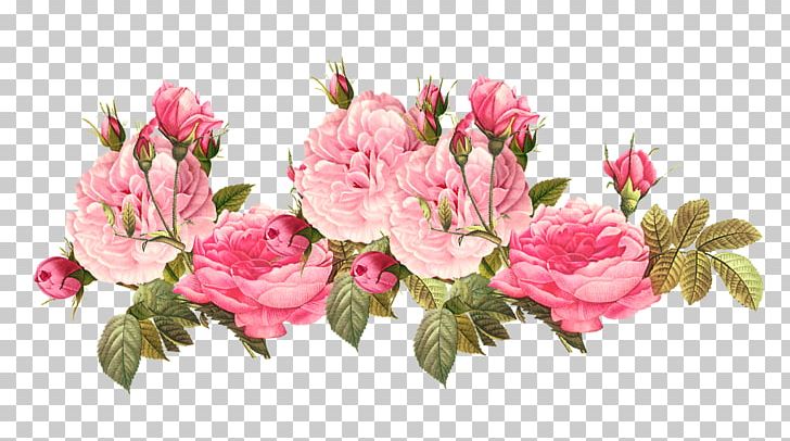 Flower Vintage Clothing Centifolia Roses PNG, Clipart, Antique, Azalea, Blossom, Branch, Centifolia Roses Free PNG Download