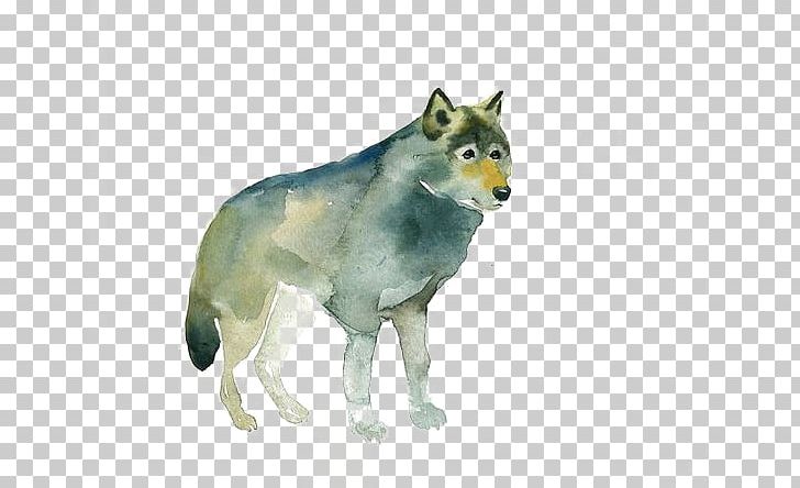 Gray Wolf Red Fox Watercolor Painting Drawing PNG, Clipart, Angry Wolf Face, Animal, Animals, Art, Black Wolf Free PNG Download