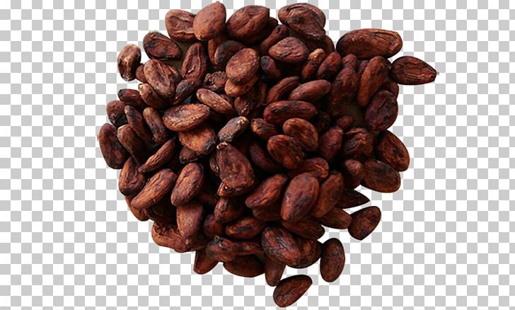 Jamaican Blue Mountain Coffee Cocoa Bean Caffeine Commodity Cacao Tree PNG, Clipart, Bean, Cacao Png, Caffeine, Cocoa Bean, Commodity Free PNG Download