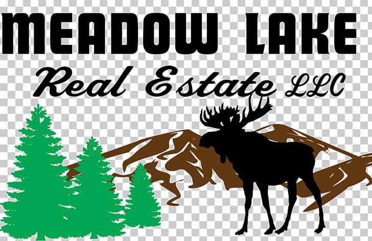 Meadow Lake Real Estate LLC House Estate Agent Big Piney PNG, Clipart, Cattle Like Mammal, Deer, Donkey, Estate, Estate Agent Free PNG Download