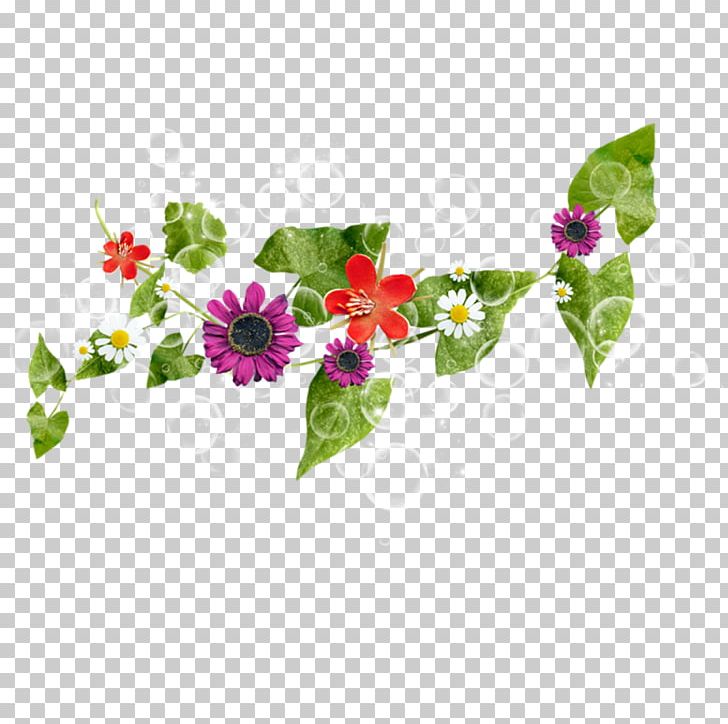 Petal Vine Flower PNG, Clipart, Animaatio, Beautiful Flowers, Drawing, Flora, Floral Design Free PNG Download