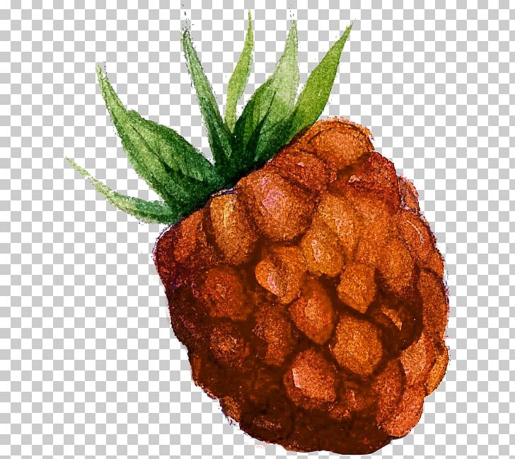 Watercolor Painting Raspberry Fruit PNG, Clipart, Ananas, Berry, Food, Fruit, Fruit Nut Free PNG Download