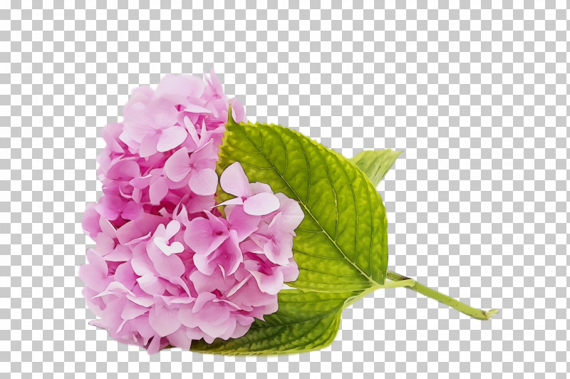 Artificial Flower PNG, Clipart, Artificial Flower, Bouquet, Cornales, Cut Flowers, Flower Free PNG Download