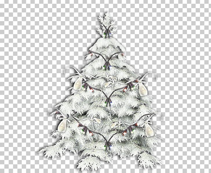 Christmas PNG, Clipart, Acrostic, Blog, Branch, Christmas, Christmas Decoration Free PNG Download
