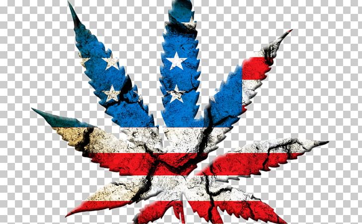 United States Medical Cannabis Cannabis Shop Legalization PNG, Clipart, Beak, Bong, Cannabidiol, Cannabis, Cannabis Shop Free PNG Download