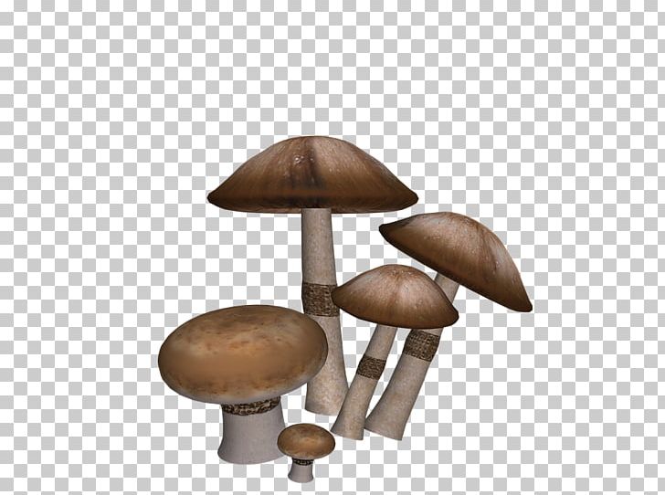 Edible Mushroom Eating PNG, Clipart, Agaric, Amanita Muscaria, Art, Collection, Digital Art Free PNG Download