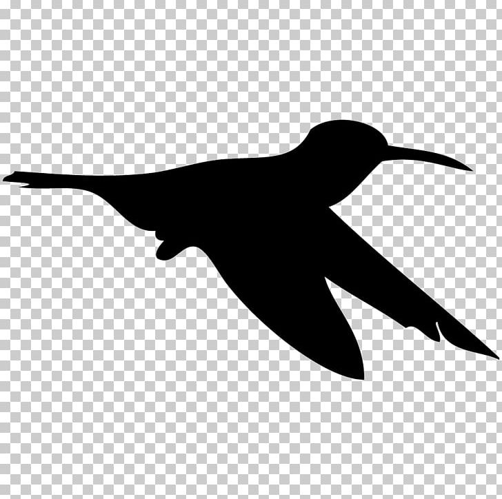 Hummingbird Cornell Lab Of Ornithology All About Birds Falcon PNG, Clipart, All About Birds, Animal, Animals, Beak, Bird Free PNG Download