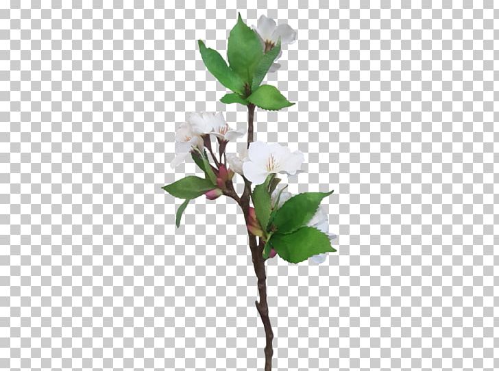 Twig Flowerpot Cut Flowers Plant Stem Houseplant PNG, Clipart, Branch, Cut Flowers, Flora, Flower, Flowering Plant Free PNG Download