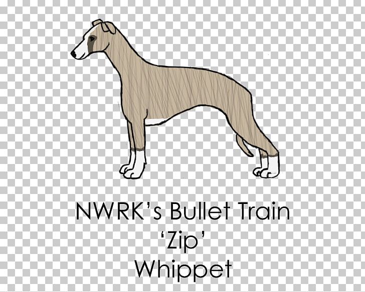Whippet Italian Greyhound Spanish Greyhound Sloughi Dog Breed PNG, Clipart, 08626, Area, Breed, Carnivoran, Dog Free PNG Download