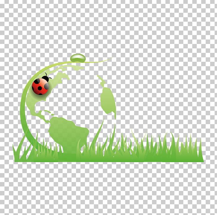 Earth Green PNG, Clipart, Background Green, Beak, Bird, Computer Wallpaper, Drawing Free PNG Download