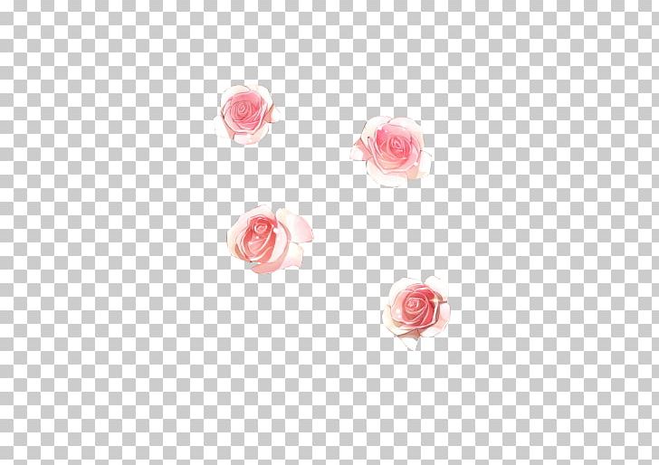 Garden Roses Odnoklassniki Centifolia Roses Petal PNG, Clipart, 30 September, Avatar, Butterflies And Moths, Centifolia Roses, Float Free PNG Download