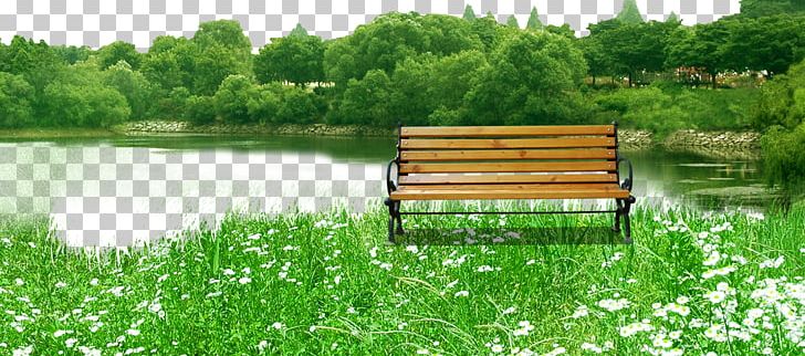 Tree Greening PNG, Clipart, Bench, Field, Forest, Furniture, Garden Free PNG Download