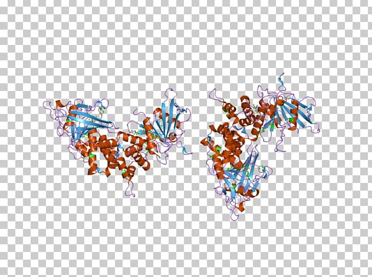 Body Jewellery Font PNG, Clipart, Art, Body Jewellery, Body Jewelry, Fashion Accessory, Glucagonlike Peptide 1 Receptor Free PNG Download
