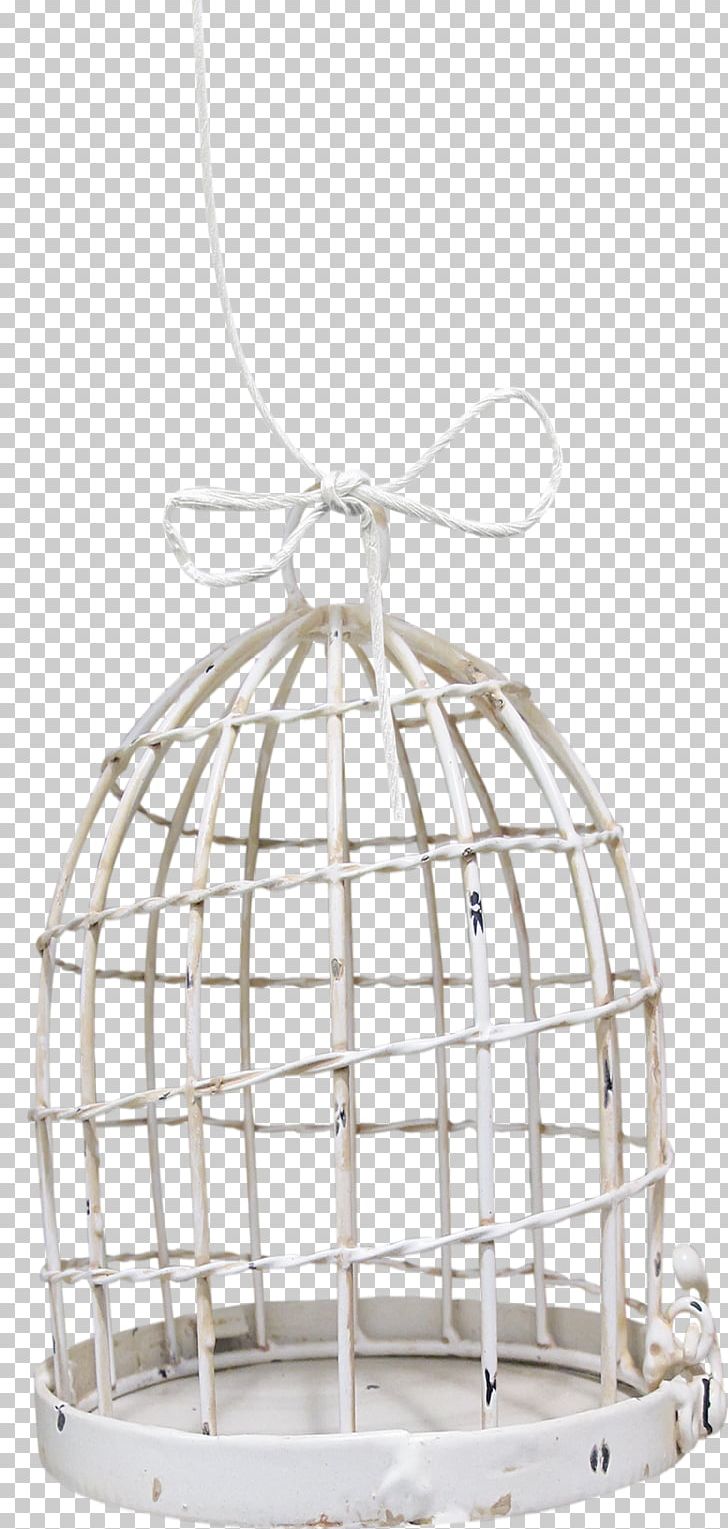 Cage Bird Product Design Highway M06 Painting PNG, Clipart, Animals, Bird, Cage, Highway M06, Lighting Free PNG Download