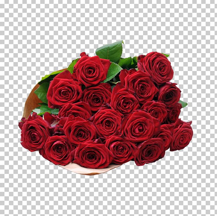Garden Roses Blume2000.de Red PNG, Clipart,  Free PNG Download