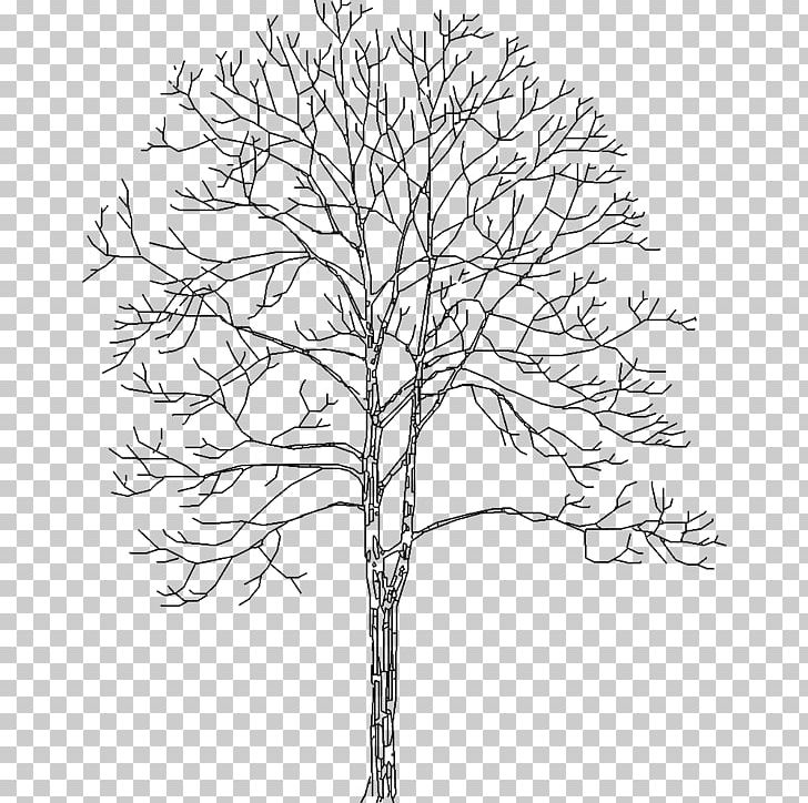 Tree .dwg Axonometric Projection Plant Computer-aided Design PNG, Clipart, Autocad, Black And White, Branch, Building Information Modeling, Computeraided Design Free PNG Download
