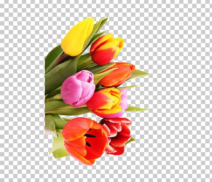 Tulip Flower Bouquet Raster Graphics Nosegay PNG, Clipart, Beautiful Vector, Beauty, Beauty Salon, Bouquet, Bouquet Vector Free PNG Download