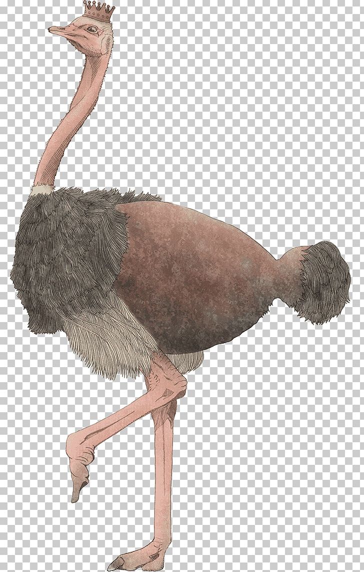 Common Ostrich Career Portfolio Bird PNG, Clipart, Beak, Bird, Career Portfolio, Common Ostrich, Dragon Fish Free PNG Download