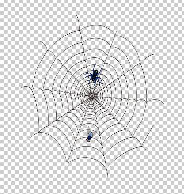 Spider Web PNG, Clipart, Area, Cartoon Spider Web, Circle, Cobweb, Cobwebs Vector Free PNG Download