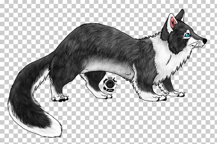 Whiskers Cat Dog Tiger Art PNG, Clipart, Animals, Art, Carnivoran, Cat, Cat Like Mammal Free PNG Download
