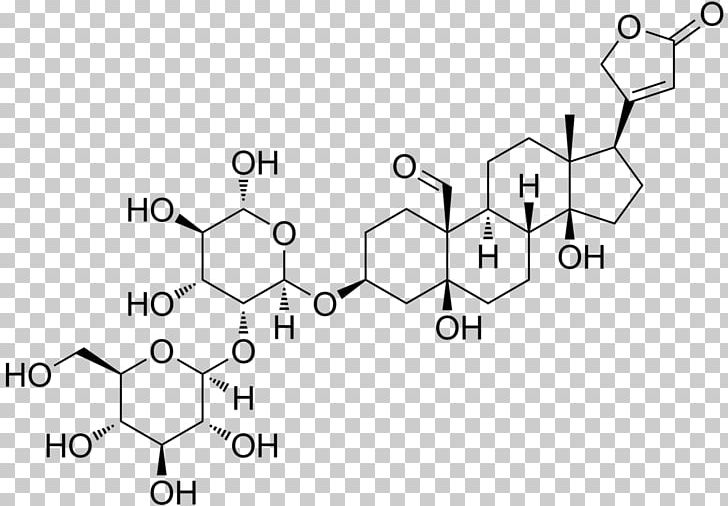 Antiarin Lady's Glove Cardiac Glycoside Cymarin PNG, Clipart,  Free PNG Download