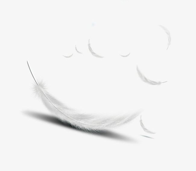 Feather PNG, Clipart, Feather, Feathers, Feather Vector, White, White Feathers Free PNG Download