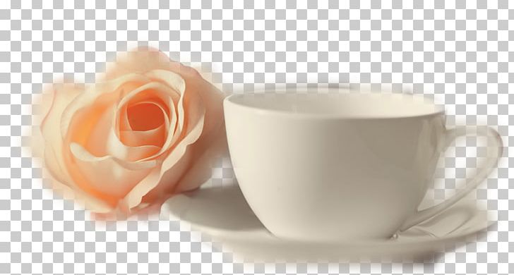 Tea Coffee Cup Garden Roses Saucer PNG, Clipart, 2016, Author, Coffee, Coffee Cup, Cup Free PNG Download