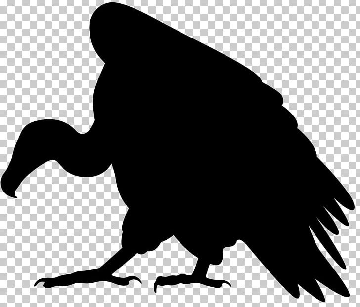 Vulture Silhouette PNG, Clipart, Animals, Artwork, Beak, Bird, Black And White Free PNG Download