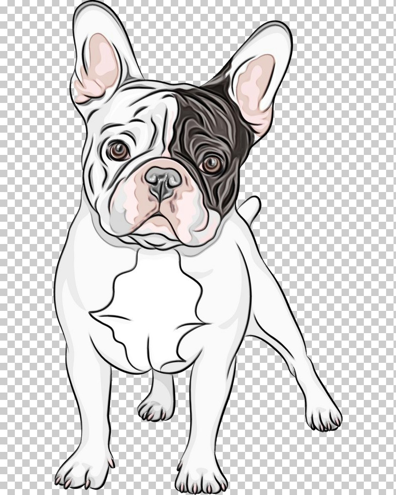 French Bulldog PNG, Clipart, Dog, French Bulldog, Head, Nonsporting Group, Paint Free PNG Download