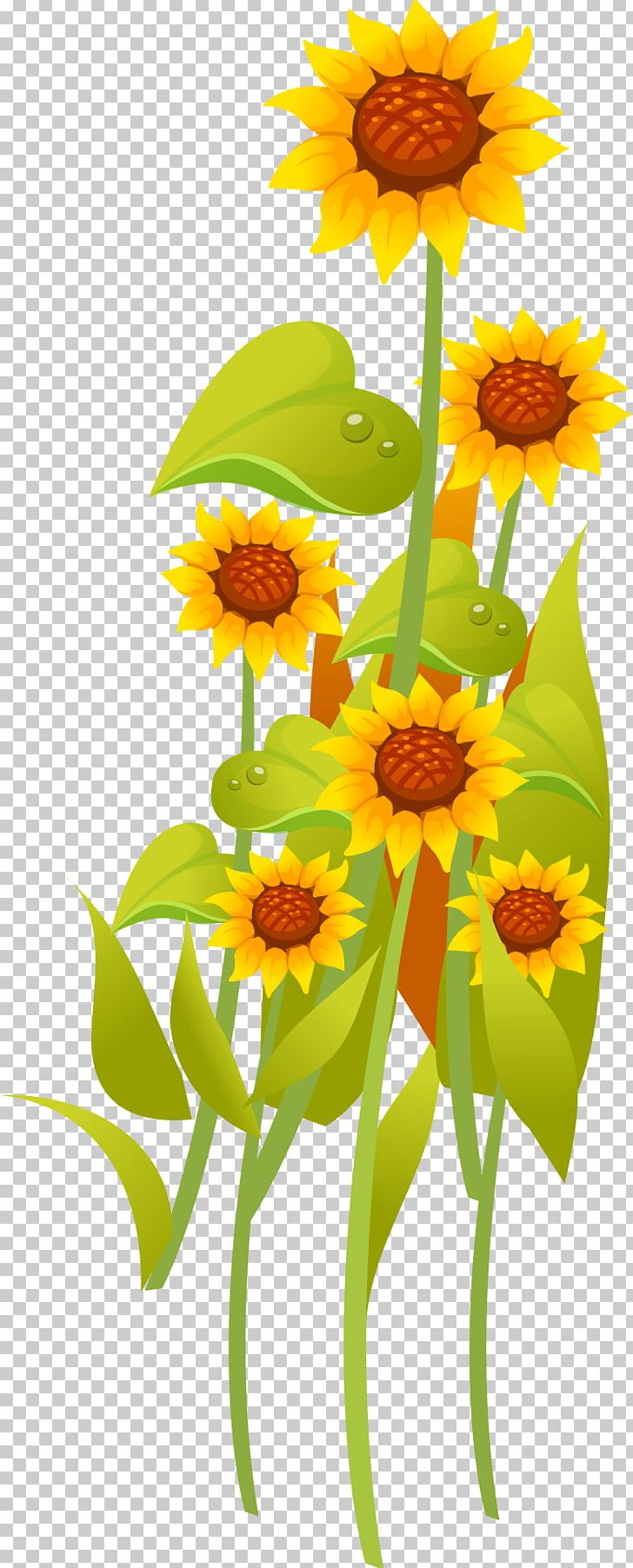 Common Sunflower Yellow Illustration PNG, Clipart, Cartoon, Cartoon Sunflower, Daisy Family, Designer, Download Free PNG Download