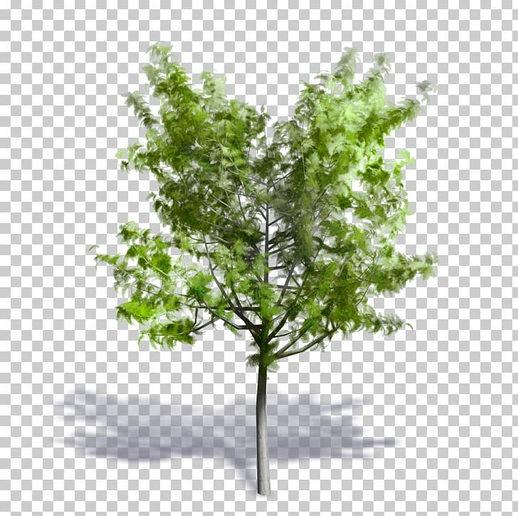 archicad 3d trees download