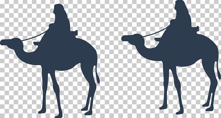 Dromedary Cartoon Eid Al-Adha PNG, Clipart, Adha, Animals, Arabian Camel, Balloon Cartoon, Boy Cartoon Free PNG Download