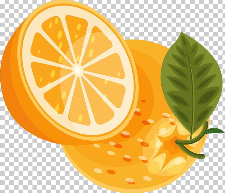 Lemon Orange PNG, Clipart, Citric Acid, Citrus, Creative Fruit, Creative Orange, Designer Free PNG Download