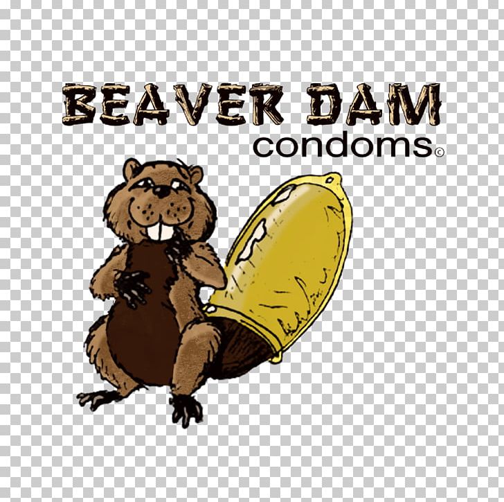 Beaver Dam Bear Arizona PNG, Clipart, Arizona, Arvada, Bear, Beaver, Beaver Dam Free PNG Download