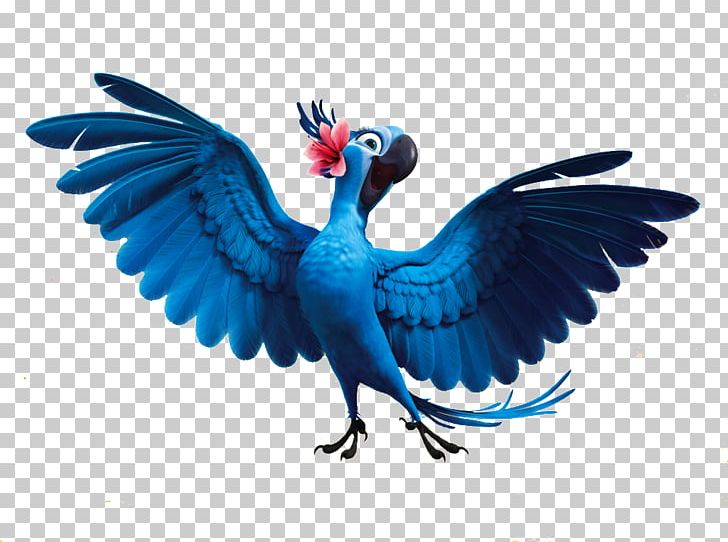 Blu YouTube Art Rio Desktop PNG, Clipart, Art, Beak, Bird, Blu, Cartoon Free PNG Download