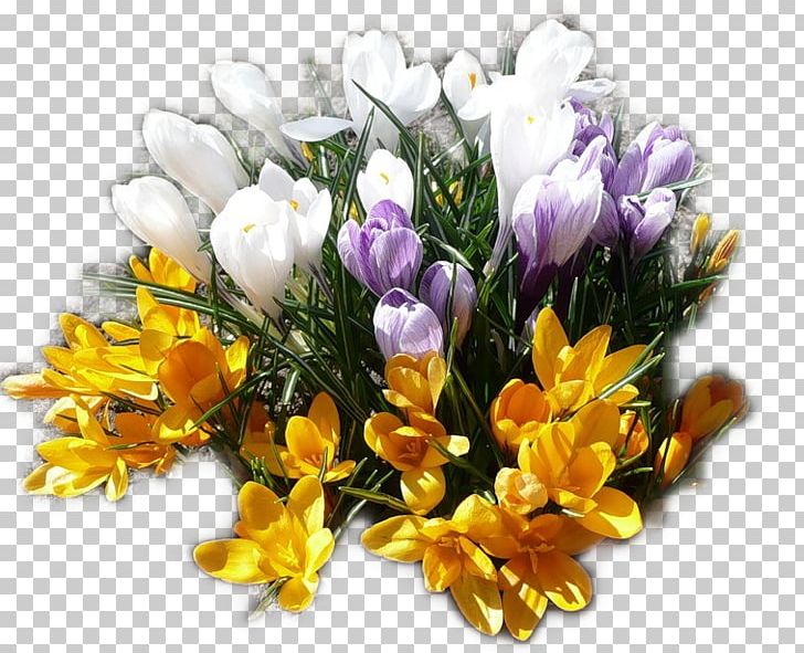 Crocus Flower Bouquet Cut Flowers PNG, Clipart, Autumn Crocus, Crocus, Cut Flowers, Floral Design, Floristry Free PNG Download