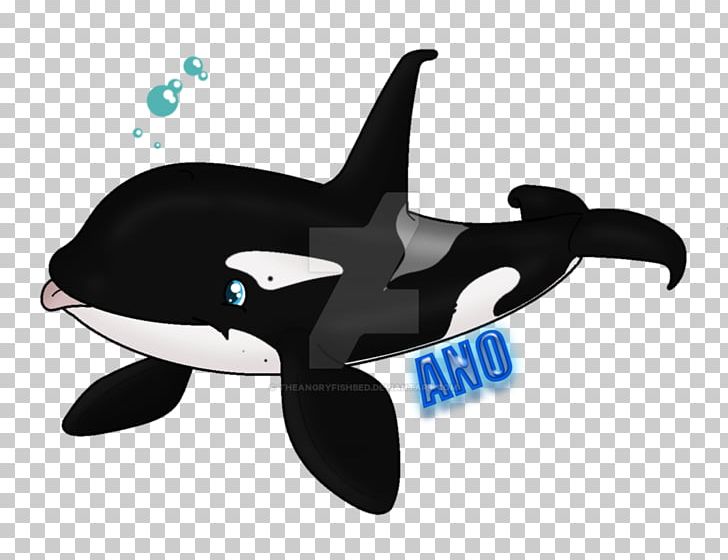 Dolphin Killer Whale Marine Biology PNG, Clipart, Angry Fish, Animals, Biology, Cetacea, Dolphin Free PNG Download
