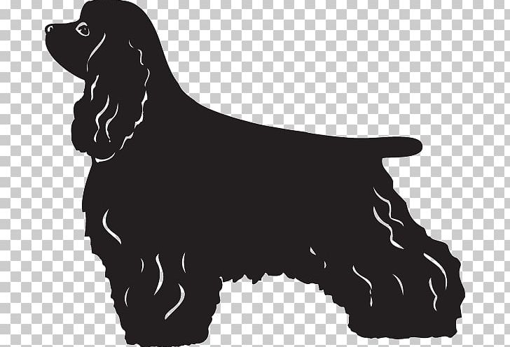 English Cocker Spaniel Poodle King Charles Spaniel English Springer Spaniel PNG, Clipart, Black, Black And White, Black Tan, Boykin Spaniel, Carnivoran Free PNG Download