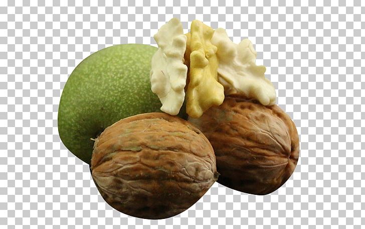 English Walnut PNG, Clipart, Auglis, Characteristic, Characteristic Walnut, Encapsulated Postscript, Food Free PNG Download